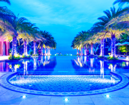 pool and palms